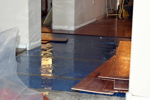 Professional Basement Flood Cleanup technician working in Saint James, NY